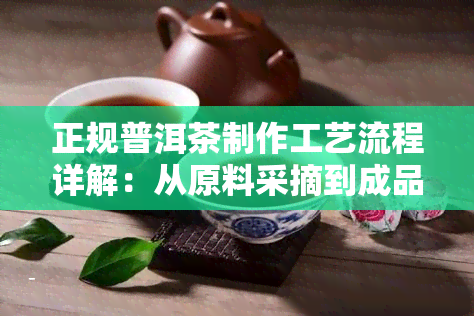 正规普洱茶制作工艺流程详解：从原料采摘到成品包装的全过程