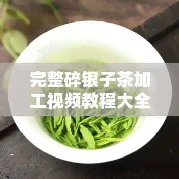 完整碎银子茶加工视频教程大全