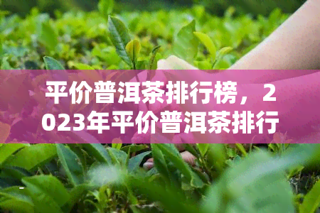 平价普洱茶排行榜，2023年平价普洱茶排行榜出炉，性价比超高的茶叶在这里！