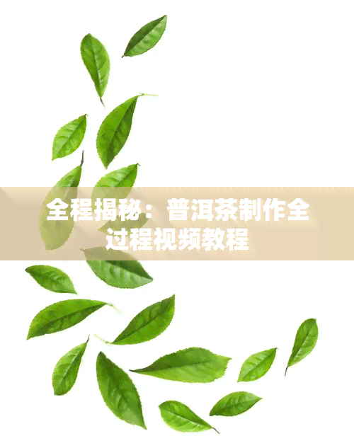 全程揭秘：普洱茶制作全过程视频教程