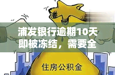 浦发银行逾期10天即被冻结，需要全额还款吗？