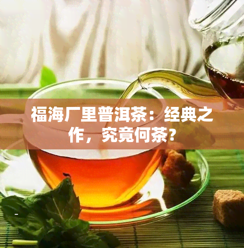 福海厂里普洱茶：经典之作，究竟何茶？