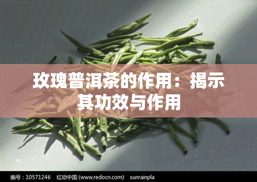 玫瑰普洱茶的作用：揭示其功效与作用