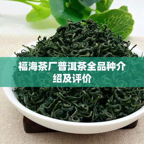 福海茶厂普洱茶全品种介绍及评价