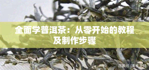 全面学普洱茶：从零开始的教程及制作步骤