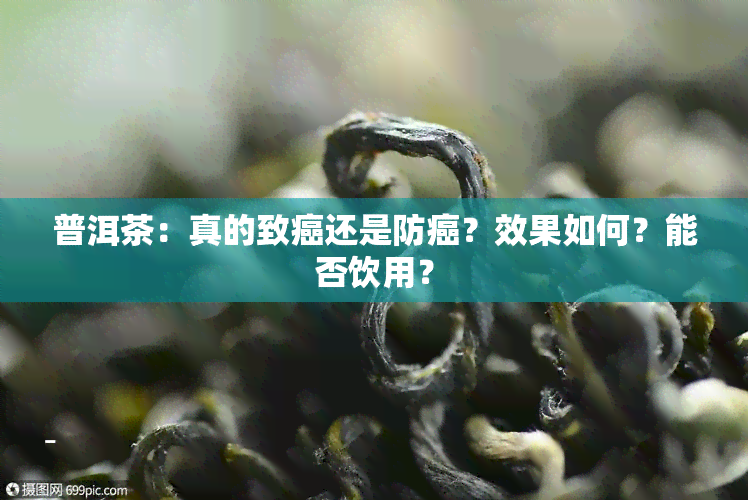 普洱茶：真的致癌还是防癌？效果如何？能否饮用？