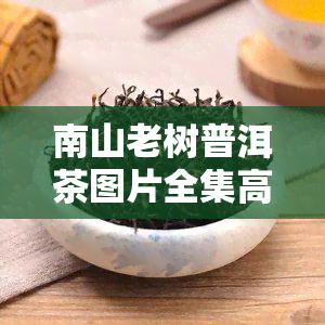 南山老树普洱茶图片全集高清版