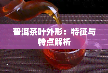 普洱茶叶外形：特征与特点解析