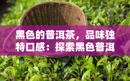 黑色的普洱茶，品味独特口感：探索黑色普洱茶的魅力