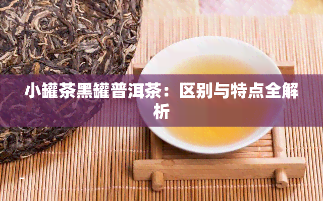 小罐茶黑罐普洱茶：区别与特点全解析