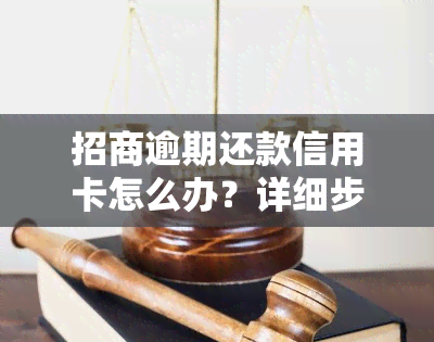 招商逾期还款信用卡怎么办？详细步骤解析