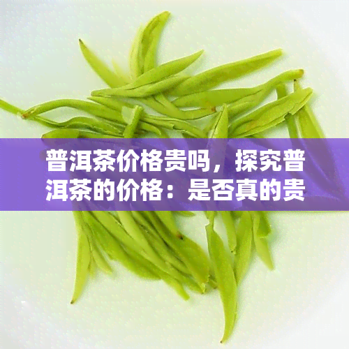 普洱茶价格贵吗，探究普洱茶的价格：是否真的贵重？