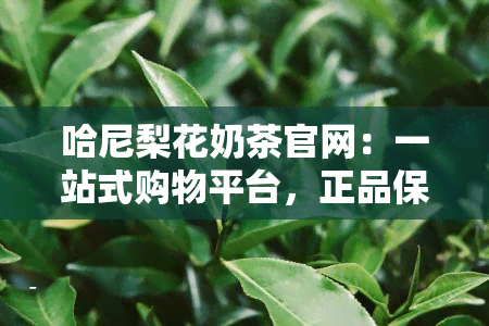 哈尼梨花奶茶官网：一站式购物平台，正品保证，欢迎访问！