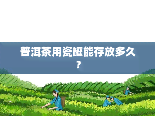 普洱茶用瓷罐能存放多久？