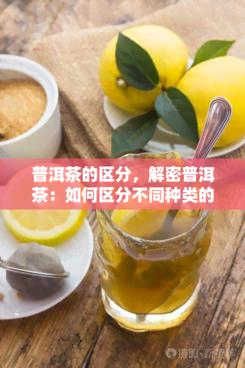 普洱茶的区分，解密普洱茶：如何区分不同种类的普洱茶？