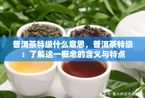 普洱茶特级什么意思，普洱茶特级：了解这一概念的含义与特点