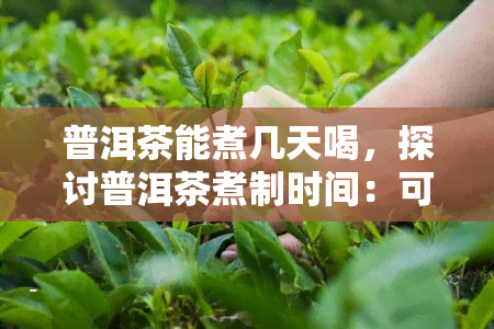 普洱茶能煮几天喝，探讨普洱茶煮制时间：可以煮多久再饮用？