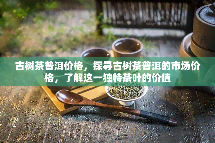 古树茶普洱价格，探寻古树茶普洱的市场价格，了解这一独特茶叶的价值