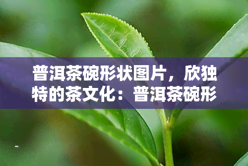 普洱茶碗形状图片，欣独特的茶文化：普洱茶碗形状图片集锦