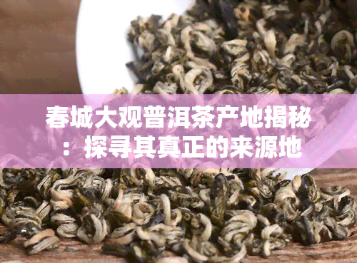 春城大观普洱茶产地揭秘：探寻其真正的来源地