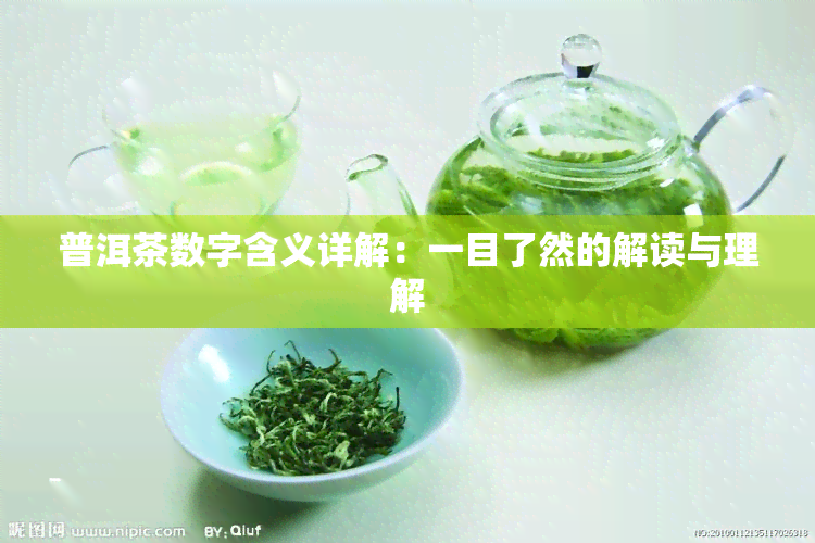 普洱茶数字含义详解：一目了然的解读与理解