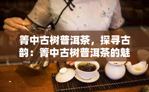 箐中古树普洱茶，探寻古韵：箐中古树普洱茶的魅力与故事