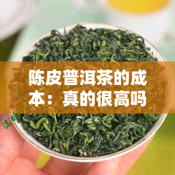 陈皮普洱茶的成本：真的很高吗？价格是多少？知乎上有答案吗？