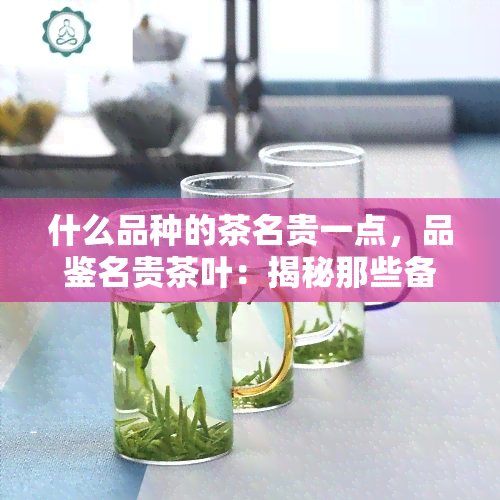 什么品种的茶名贵一点，品鉴名贵茶叶：揭秘那些备受追捧的茶品种