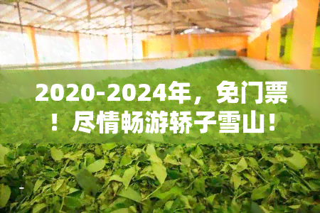 2020-2024年，免门票！尽情畅游轿子雪山！