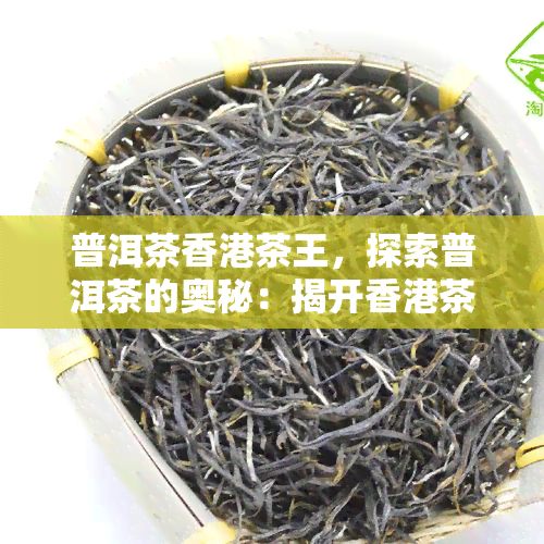 普洱茶茶王，探索普洱茶的奥秘：揭开茶王的神秘面纱