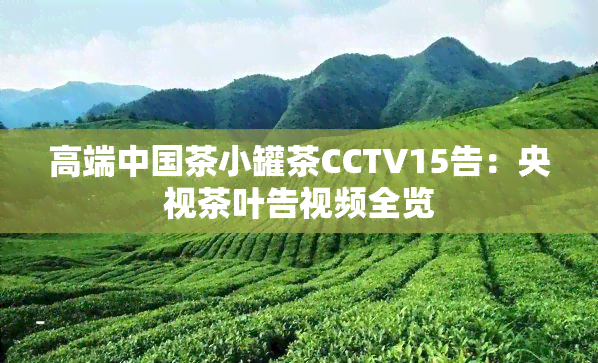 高端中国茶小罐茶CCTV15告：央视茶叶告视频全览