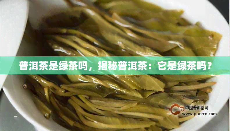 普洱茶是绿茶吗，揭秘普洱茶：它是绿茶吗？