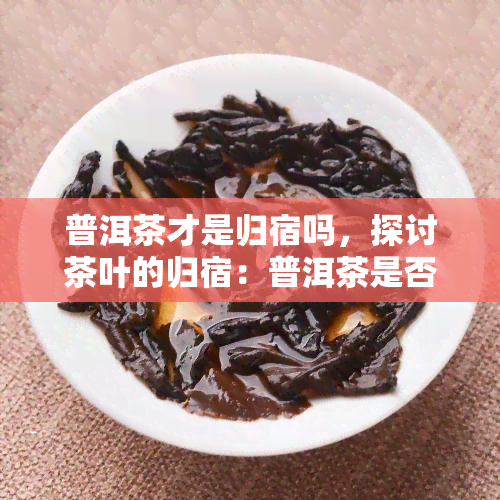 普洱茶才是归宿吗，探讨茶叶的归宿：普洱茶是否真的是的选择？