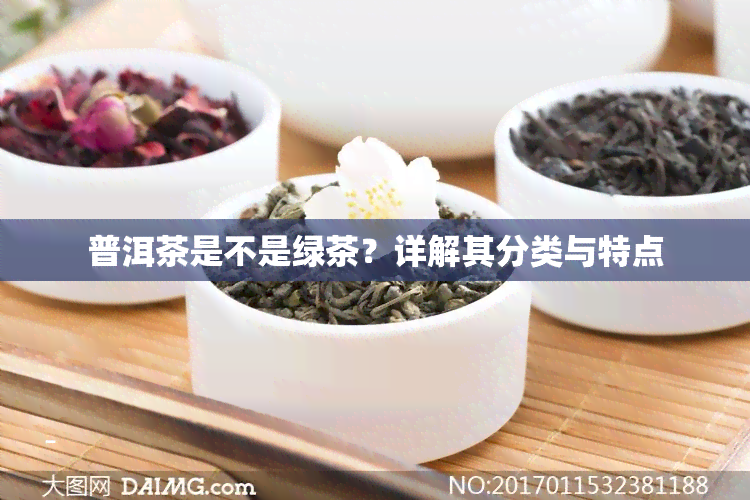 普洱茶是不是绿茶？详解其分类与特点