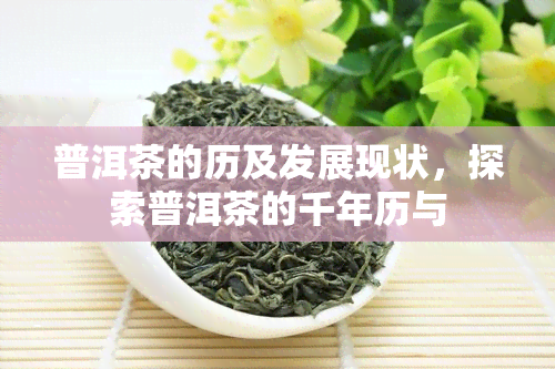 普洱茶的历及发展现状，探索普洱茶的千年历与