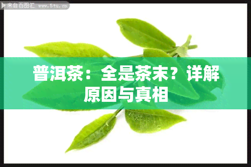 普洱茶：全是茶末？详解原因与真相