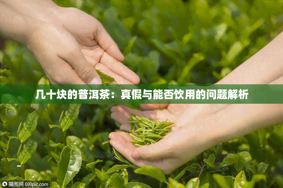 几十块的普洱茶：真假与能否饮用的问题解析