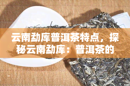 云南勐库普洱茶特点，探秘云南勐库：普洱茶的独特魅力与特点