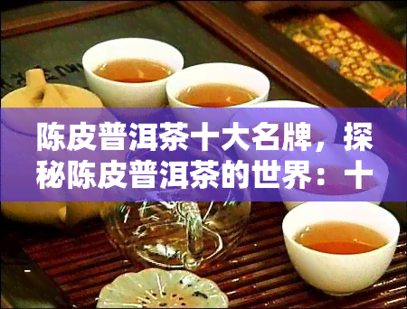 陈皮普洱茶十大名牌，探秘陈皮普洱茶的世界：十大名牌大揭秘