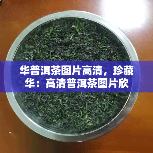 华普洱茶图片高清，珍藏华：高清普洱茶图片欣