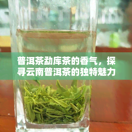 普洱茶勐库茶的香气，探寻云南普洱茶的独特魅力：勐库茶香四溢的味道体验