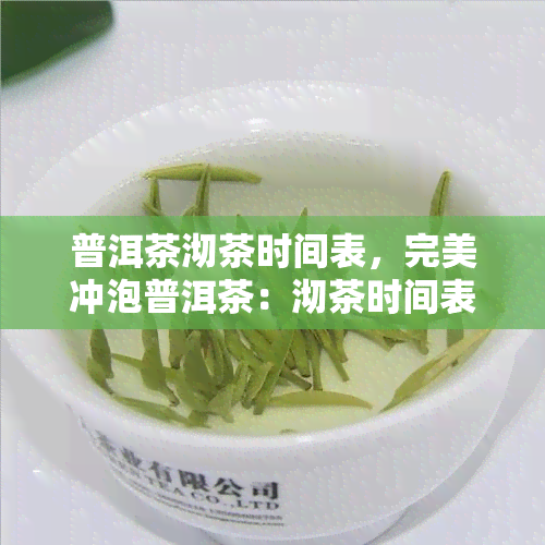 普洱茶沏茶时间表，完美冲泡普洱茶：沏茶时间表指南