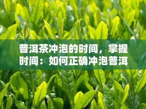 普洱茶冲泡的时间，掌握时间：如何正确冲泡普洱茶？