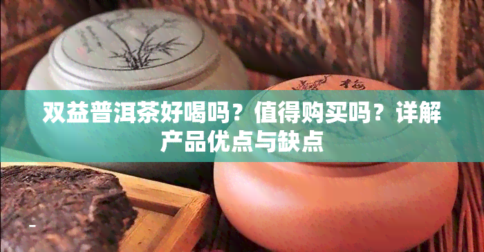 双益普洱茶好喝吗？值得购买吗？详解产品优点与缺点