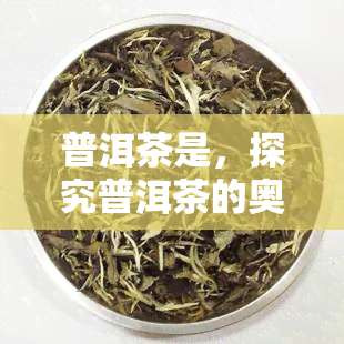 普洱茶是，探究普洱茶的奥秘：一种独特的中国茶叶