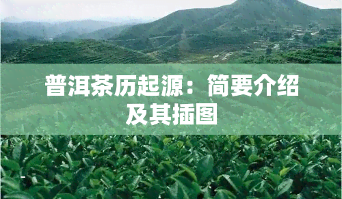 普洱茶历起源：简要介绍及其插图