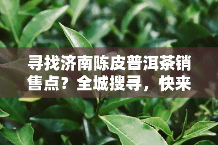 寻找济南陈皮普洱茶销售点？全城搜寻，快来看看！