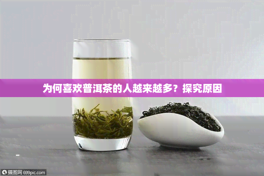 为何喜欢普洱茶的人越来越多？探究原因