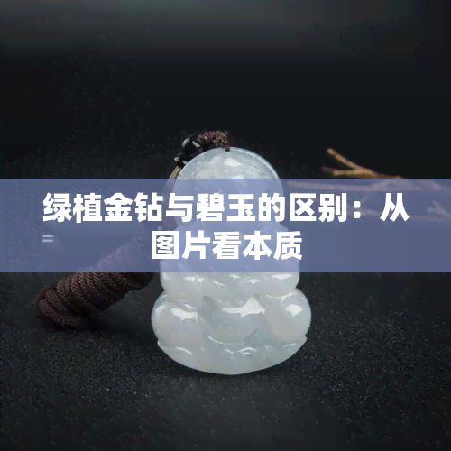 绿植金钻与碧玉的区别：从图片看本质