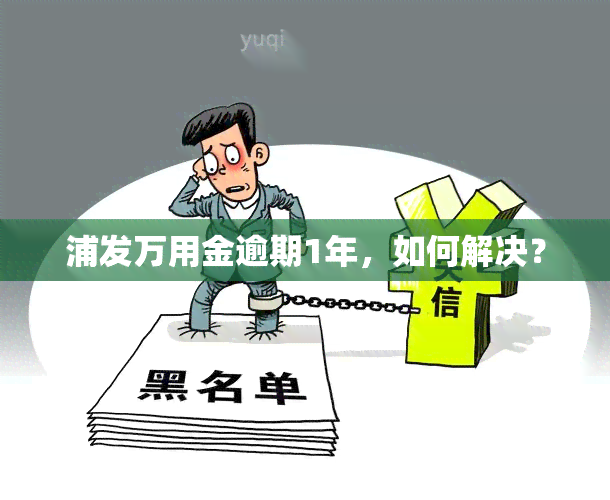 浦发万用金逾期1年，如何解决？